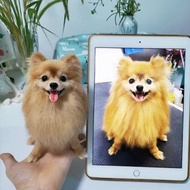 客製化逼真博美犬羊毛氈寵物娃娃定製複刻狗狗猫咪毛小孩公仔