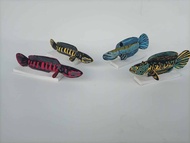 BONEKA PEMIKAT CHANA AURANTI YS RED MARU PULCHRA Aquarium