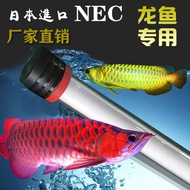 Arowana Dedicated Fish Tank Light nec Diving Light Tube Red Arowana Tempting Color Hair Magic Light 