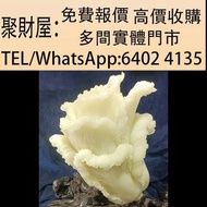 實體門市 免費上門鑒定報價 古董 瓷像 木佛像 白瓷像 壽山石擺件 壽山石雕白菜擺飾 毛主席白瓷像 紅色經典 蘇清河 觀音 佛公 彌勒佛 木雕 雕塑 銅雕 石雕像 石灣公仔 鎏金銅佛像 德化白瓷像 德