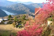 南投 清境櫻花林~茲心園渡假木屋 茲心園山莊 民宿 飯店 憑住宿優惠券平日只要1199元即可入住雙人房 附早餐