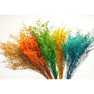 CASPIA DRIED FLOWER 120grm情人草干花