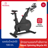 Yesoul จักรยานออกกำลังกาย M1/S3/S3 Pro จักรยาน Smart Spinning Bicycle คาร์ดิโอ ฟิตเนต - 168gadget