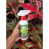 neem oil insect repellent / neem oil untuk menghalau serangga / racun serangga organik