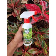 neem oil insect repellent / neem oil untuk menghalau serangga / racun serangga organik