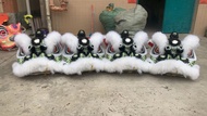 Southern Lion Dance Props Dragon And Lion Dancing Equipment Awaken Lion Props Southern Lion Crafts T
