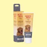 Burt's Bees 小蜜蜂爺爺 原食純萃竹炭椰子油潔齒凝膠