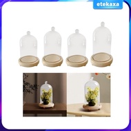 [Etekaxa] Clear Cloche Cover Stand Showcase Transparent Cover Wooden Base for DIY Flower Craft