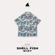 WhiteSand - Shirts เสื้อเชิ้ต เสื้อฮาวาย ลาย Shell Fish ชุดไปทะเล มี 3 สี