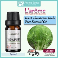 L'arome Fennel Essential Oil, Pure Aromatherapy Grade (10ml)