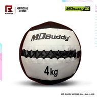 Md Buddy MD1242 Wall Ball 4KG