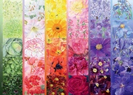 [สินค้าในสต็อก] กระดานระบายสีรุ้ง ravens เบอร์เกอร์จิ๊กซอว์นำเข้า1000ชิ้น EDUCA