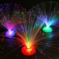 LED Fiber Optic Light Night Lamp Holiday Decoration Christmas Decoration Wedding Decoration