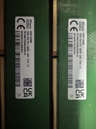 SK Hynix DDR5 16GB 5600MHz 記憶體 (兩條)