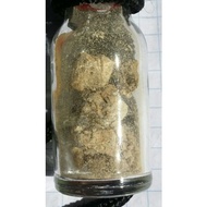 Ambergris whale vomiting is rare