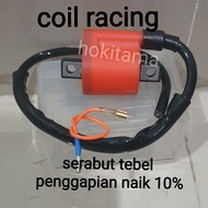 Minerva racing coil GTR 150 GTR 170 Minerva GTR150 GTR170 automatic coil