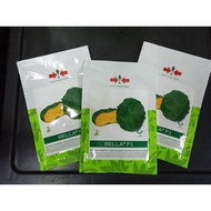 ♞,♘EASTWEST SQUASH BELLA F1 ASENSO PACK BY EAST WEST SEEDS