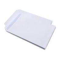 A4 white envelope. No glue
