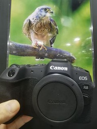 Canon R8 R 8 
