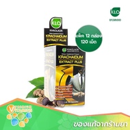 Khaolaor Krachaidum Extract Plus ขาวละออ กระชายดำสกัดพลัส 10 แคปซูล/กล่อง (โหล 12กล่อง)