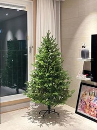 全新純pe1.5米聖誕樹裝飾 Christmas Tree 1.5m