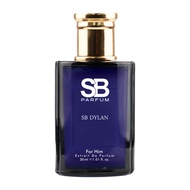 SB DYLAN inspired by VERSACE DYLAN BLUE