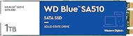 Western Digital 1TB WD Blue SA510 SATA Internal Solid State Drive SSD - SATA III 6 Gb/s, M.2 2280, Up to 560 MB/s - WDS100T3B0B