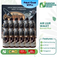 Wholesale Package of 12 Pcs Borneo Swallow Saliva 10ml Vitamin Supplement to Increase Singing Birds 