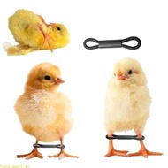Best 50 100Pcs Baby Chicken Splay Leg Hobble Brace Adjustable Poultry Leg Bands