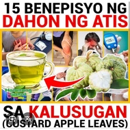 Fresh Dahon ng Atisss