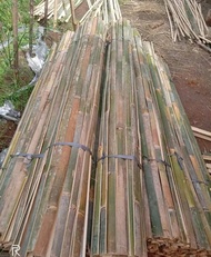 Bambu bilah panjang 2 meter