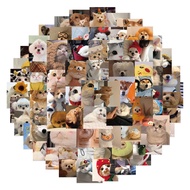 100-Piece Pet Meme Stickers - Cute Cat & Dog Graffiti Decals for DIY Luggage, Pen Cases & Notebook D