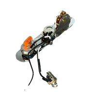 Tele Control Panel with Custom Basin Oak Switch, Orange Capacitor