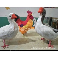 Supplies Funeral Chicken Goose Duck Foam Manufacturer Supplies Xiong County Funeral Wholesale Funera