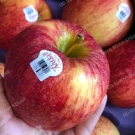 buah apel envy jumbo 1kg