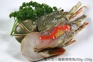 【冷凍蝦蟹系列】生小龍蝦(切半)/約140g±10g/尾 飽滿的肉質輕甜鮮香的風味~不愧稱為「海鮮之王」