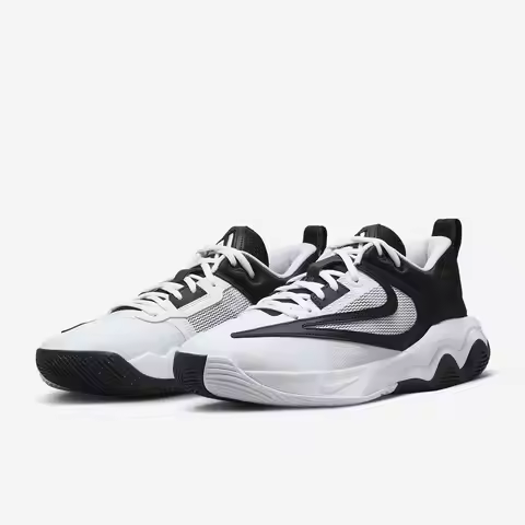 Nike Authentic Giannis Immortality Men's Basketball Shoes DZ7534-100