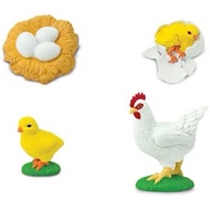 [SG Ready Stock] Life Cycle of Chicken