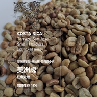 กาแฟสด Costa Rica San Jose Small Farmer American Tiger Red Honey Process Micro Batch กาแฟสด อเมริกาเ