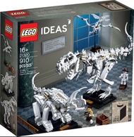 Lego21320 恐龍化石