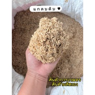 Raw Rice Husk New Agricultural Products