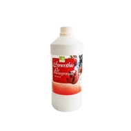 Chagrim Fruit Smoothie Pomegranate 1.8kg/Ade/Pomegranate Juice/Pomegranate Juice