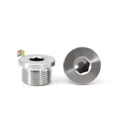 M8 M10 M12 M14 M16 M18 M20 M22 M27 M33 304 Stainless Steel Ed Nut Hex Socket Flange Plug Seal Pipe O