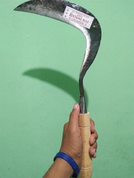 Sabit Arit Rumput Ukuran BESAR Cap Bintang Mas Arit Jawa Baja Asli Super Tajam