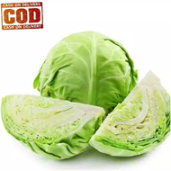 RANITASHOP GROSIR - 25Biji / Benih / bibit KOL / KUBIS bibit buah / bibit sayur