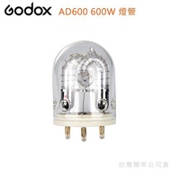 [Light Control Guard] Godox AD600FT AD600 600W Lamp