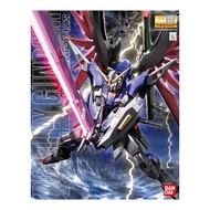 MG 1/100 : Destiny Gundam