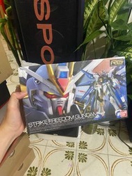RG 自由高達 strike freedom Gundam