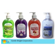 HAND WASH 500ML-EVO ANTI BACTERIAL HAND WASH
