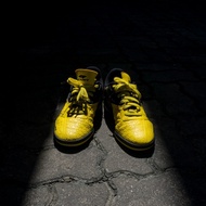 Pan Vigor 7.1 S.E. Malaysia Edition